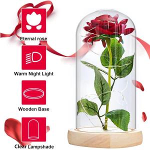 Die Beautiful and the Best Rose, eeuwige roos in transparante koepel, rozencadeau voor Moederdag, jubileum, verjaardag, Valentijnsdag, kamerdecoratie