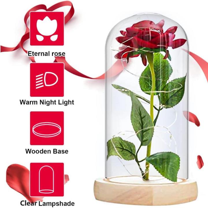 Die Beautiful and the Best Rose, eeuwige roos in transparante koepel, rozencadeau voor Moederdag, jubileum, verjaardag, Valentijnsdag, kamerdecoratie