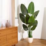CozyBox Artificial Tropical Palm Tree Fake Plant voor indoor outdoor, Perfect Faux Plants for Home Garden Office Store Decoratie, 5 feet