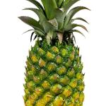 Authentische Ananas Skulptur, Kunstobst Deko für Zuhause, Elegantes Ornament, 10cmx24cm