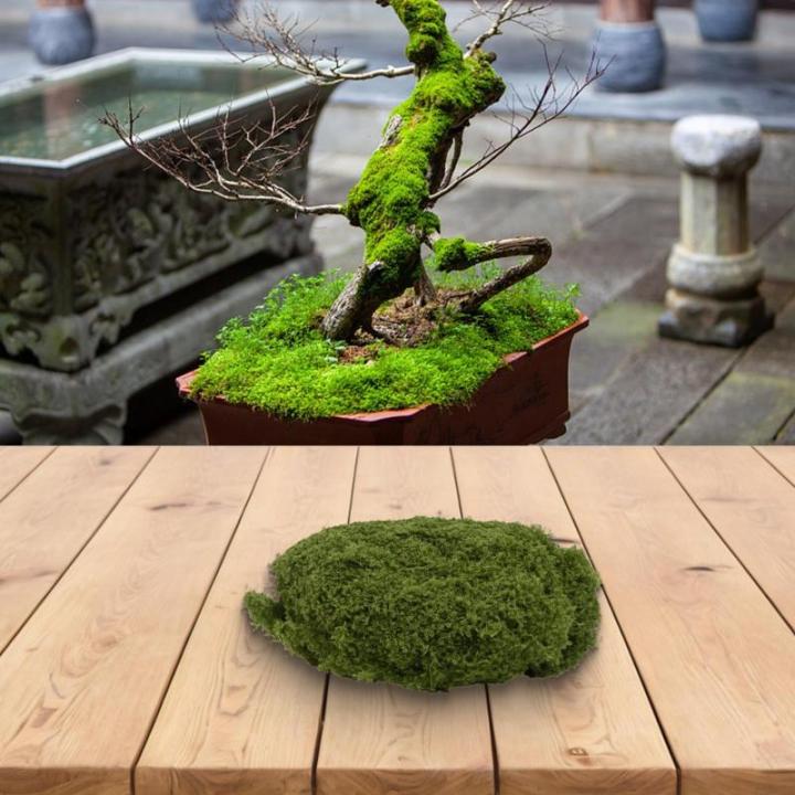 Hergestellt aus Kunststoff, lebensechtes Kunstmoos für Blumentopf-Dekoration und Bastelprojekte (dunkelgrün 50)