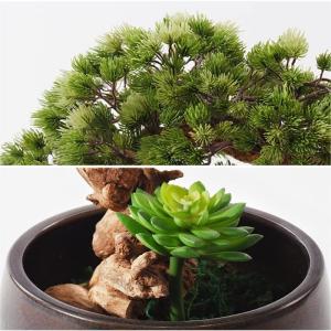 Künstlicher Bonsai-Baum Künstlicher Bonsai-Baum, künstliche Pflanzen im Topf, künstliche Topfpflanze for Zuhause, Büro, Schreibtisch, Wohnzimmer, Zen-Gartendekoration, Höhe 2