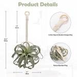 Hangende planten van 63,5 cm, kunstmatige luchtplanten, Tillandsia, kunstvetplanten met geweven katoenen touw, kunstmatige tillandsia kamerplanten, hangende nepplanten voor