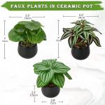 Set van 3 als echte kunstkamerplanten, decoratieve planten voor woonkamer, badkamer, hoogte ca. 15 cm, in zwarte keramische pot