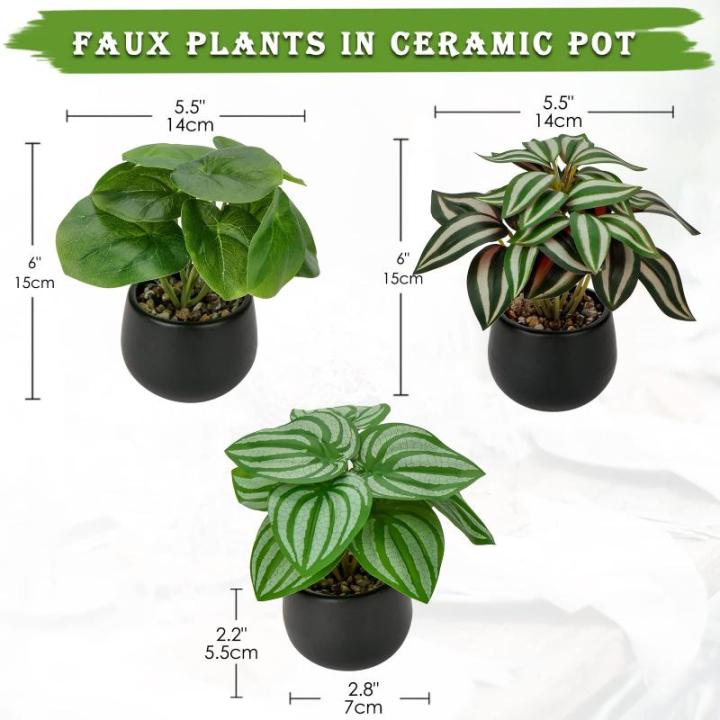 Set van 3 als echte kunstkamerplanten, decoratieve planten voor woonkamer, badkamer, hoogte ca. 15 cm, in zwarte keramische pot