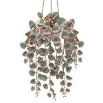 Hangende , decoratieve planten in pot, kunstplant hangende eucalyptus, plastic planten hartblad voor slaapkamer, woonkamer, kantoor, decoratie #6