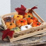 Zierkürbisse bunt als kleine Herbst-Deko im 9er Set - Keramik Deko-Kürbisse als wetterfeste Outdoor Gartendeko - Kürbis-Deko als Erntedankfest Zimmer-Deko oder draußen Haustür