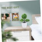 6 STK Simulierte Topfpflanze Mini-pflanztöpfe Eingemachter Bonsai Falsche Pflanzenverzierung Künstlicher Formschnitt Künstlicher Topfbaum Künstliches Topfgras Green Plastik