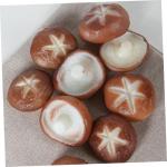 4 Stück Simulierte Shiitake Pilze Multifunktionale Foto Requisite Mini Pilz Dekoration Zubehör Für Den Schreibtisch Künstliche Pilze Interessante Gefälschte Pilze