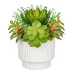 Kunstvetplanten, voor woondecoratie, 15,7 cm (15,7 cm), gepot, kunstvetplanten, in keramische potten, moderne voor binnen, voor badkamer, plank, kantoordecoratie