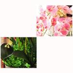 Kunstblumen Künstliche Orchideenblumen im Keramiktopf, Seiden-Phalaenopsis-Pflanzenarrangement für Bürotisch/Wohnzimmer/Schlafzimmerdekoration für jeden Anlass