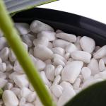 Künstliche Orchidee Kaskaden Blumenstrauß Weiß im Topf Beton H 110 cm Heimbüro Dekoration, Kunstpflanze Orchidee, Kunstblume, Künstliche Orchidee im Topf