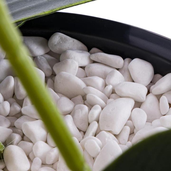 Künstliche Orchidee Kaskaden Blumenstrauß Weiß im Topf Beton H 110 cm Heimbüro Dekoration, Kunstpflanze Orchidee, Kunstblume, Künstliche Orchidee im Topf