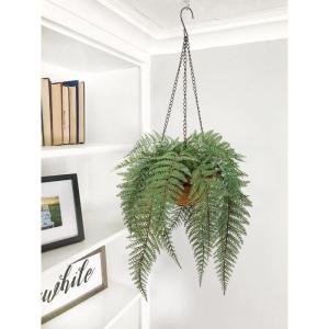 varenplanten, bonston varen, hangplant, kunstvaren, als echt voor muur, keuken, veranda, hangmand, decoratie, met hanghanger