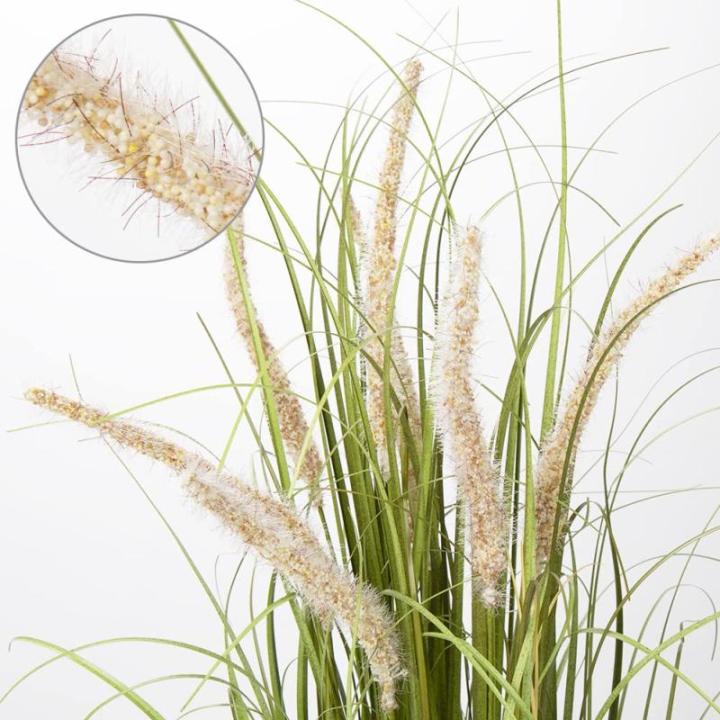 Kunstgras decoratief gras hoog, groot als echt vossenstaartgras, hoogte: 70 cm kunstgras gras grassen arrangement kunstplant kunstplant kantoor decoratie plastic planten, wit