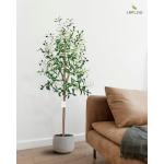 150cm künstliche Olivenbaum, nur für den Innenbereich mit lebendigem Stamm, verstellbarem Zweig und prallen Oliven, deko für Büro, Laden, Wohnung und Party