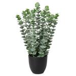 Kunstplant eucalyptus kunstplant lijkt op echte kamerplanten, decoratieve planten in zwarte pot, hoogte 40 cm