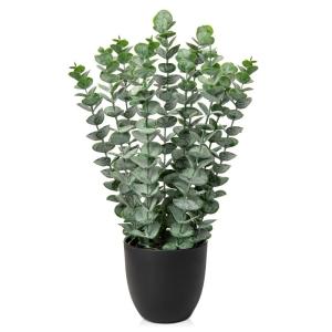 Kunstplant eucalyptus kunstplant lijkt op echte kamerplanten, decoratieve planten in zwarte pot, hoogte 40 cm