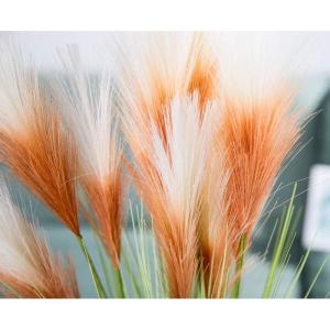 5 stks Kunstbloemen, Pampas Gras Larg Ascendant Gras Nep Bloemen Gras voor Bruiloft Boeketten Home Party Hotel Centerpieces Decoraties, Oranje