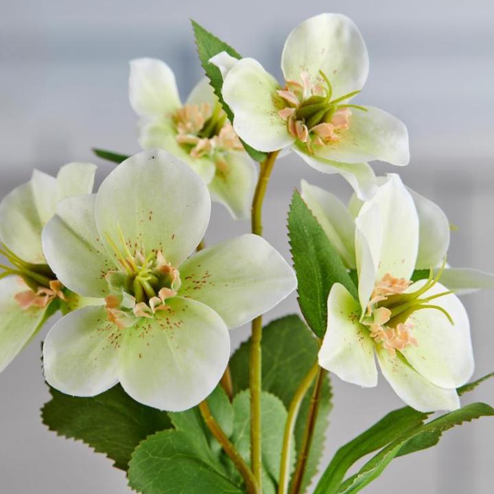 Christrosenbusch weiß-grün im Keramik Topf I weihnachtliche Christrose 28cm I Christrosen im Topf künstlich I Weihnachtsdeko I hochwertige Kunstpflanzen für Weihnachten