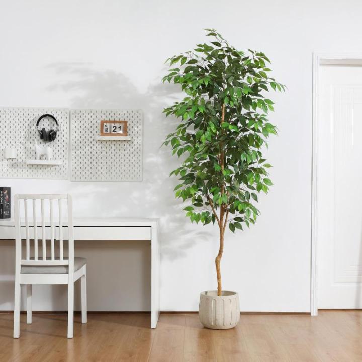 Ficus Benjamina , groot, 210 cm, met natuurhouten stam, kamerplant, kunstboom in pot, voor thuis, kantoor, balkon, decoratie (1 stuks)