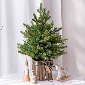 Weihnachtsbaum Künstlich Grüner Weihnachtsbaum, Weihnachtsbaum DIY, Tisch-Weihnachtsbaum im Topf, Weihnachtsbaum 45 cm, 60 cm, 70 cm, 90 cm(60cm/2ft)