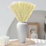 Künstliches Pampasgras, 30 Stück, natürliches getrocknetes Pampasgras für Vase, Pampasgraspflanze für Blumenstrauß, Phragmiten, Hochzeitsdekoration