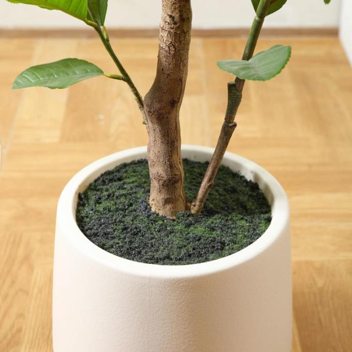 Citroenboom, , 150 cm, grote citroenboom met levensechte vruchten in witte pot, als echt voor moderne decoratie (1 stuks)
