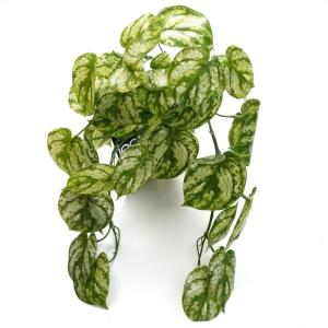 Ontwerp kunstmatige hangende planten