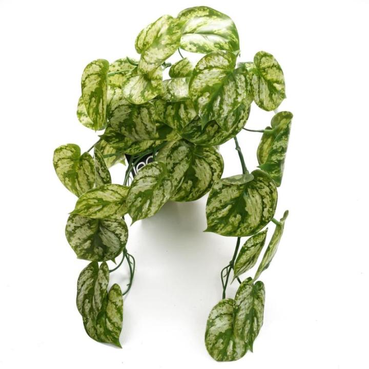 Ontwerp kunstmatige hangende planten
