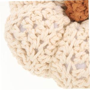 5st Kürbis-Ornamente Rustikale Kürbisse Lebensechter Erntekürbis Dekorative Kürbisse Thanksgiving-tischdekoration Kürbis Stricken Kleiner Kürbis Herbst Weiß Baumwollseil Kin
