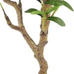 Kunstplant olijfboom, kunstboom, 170 cm, , echte , groot uitziend, voor binnen, balkon, slaapkamer, kantoor, tuin, bruiloft, party, decoratie