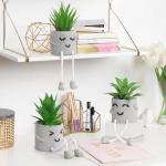 3 stuks kunstmatige vetplanten, echte planten met potten, emotioneel cement, potplant met hangende poten, decoratie, planten voor badkamer, tafeldecoratie, woonkamerdecoratie, vens