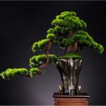 Künstlicher Bonsai-Baum Künstlicher Bonsai-Baum for den Innenbereich, groß, grün, Simulation Willkommenskiefer, Bonsai-Baum, Wohnzimmer, Büro, Desktop-Dekoration, künstliche 
