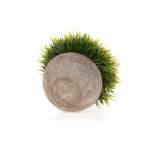 Kunstmatige grasplanten in pot - klein groen pak van 6, decoratie voor thuis en op kantoor, desktop, vensterbank, bonsai, indoor cadeau voor bruiloft, verjaardag, Kerstmis