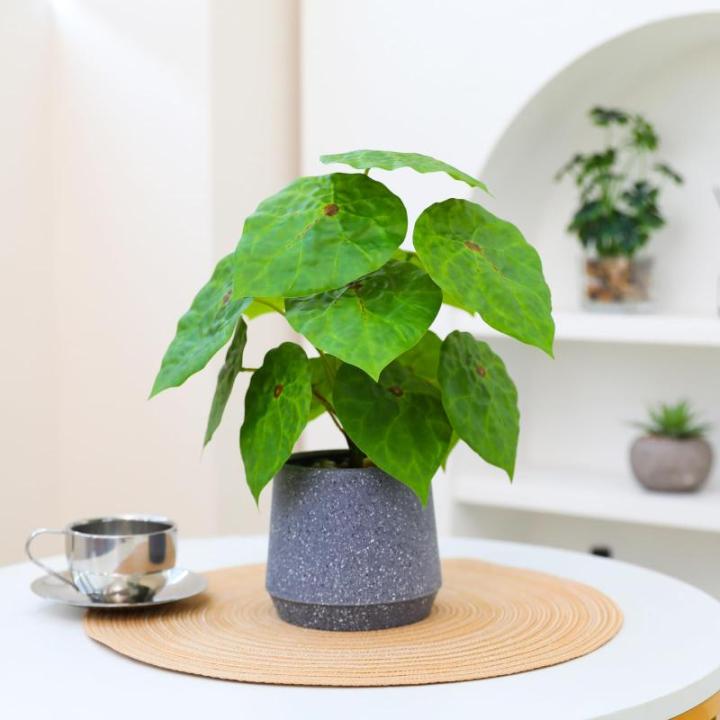 Kunstgroene plant in pot, kunstmatige vetplanten, planten in pot, 32 cm, grote groene kunstmatige plant, groen blad voor thuis, bureau, woonkamer, decoratie
