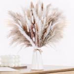 Gedroogde pampasdecoratie, gedroogde bloemen, natuurlijk, 60 stuks, doe-het-zelf, gedroogde bloemen, boeket, ideaal voor boho, woonkamer, bruiloft, slaapkamer en vazen (LZGSGO-0104