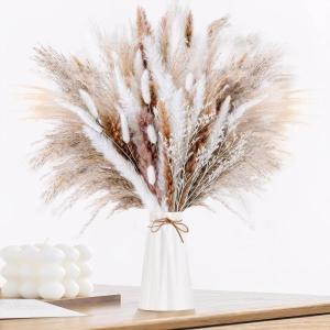 Gedroogde pampasdecoratie, gedroogde bloemen, natuurlijk, 60 stuks, doe-het-zelf, gedroogde bloemen, boeket, ideaal voor boho, woonkamer, bruiloft, slaapkamer en vazen (LZGSGO-0104