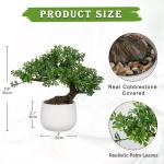 25 cm kunstplant bonsai boom in keramische pot esthetische Japanse bonsai decoratie voor woonkamer slaapkamer badkamer vensterbank decoratie - podocarpus kunstbonsai