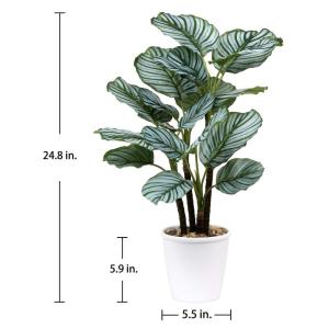 24 inch Calatheas Orbifolia Goeppertia Orbifolia Plant Tropische Faux Groene Plant Arrangement in Pot voor Home Garden Office Decoratie