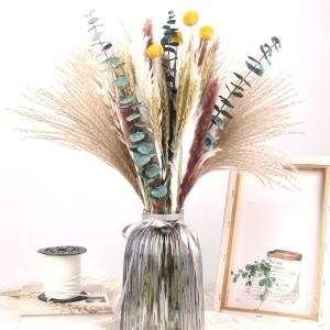 Gedroogde pampasdecoratie, natuurlijke gedroogde bloemen, 100 stuks, doe-het-zelf, gedroogde bloemen, boeket, ideaal voor boho, woonkamer, bruiloft, slaapkamer en vazen (LZGSGO-010