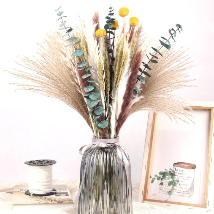 Gedroogde pampasdecoratie, natuurlijke gedroogde bloemen, 100 stuks, doe-het-zelf, gedroogde bloemen, boeket, ideaal voor boho, woonkamer, bruiloft, slaapkamer en vazen (LZGSGO-010