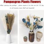 Gedroogde pampasdecoratie, gedroogde bloemen, natuurlijk, doe-het-zelf, droogbloemen, boeket, ideaal voor boho, woonkamer, bruiloft, slaapkamer en vazen (LZGSGO-0106)