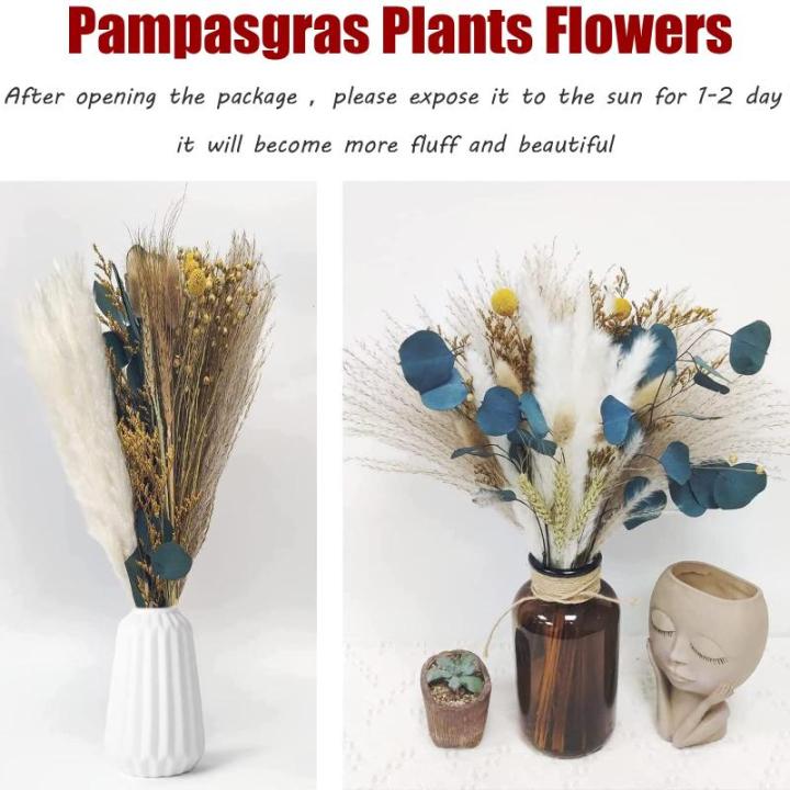 Gedroogde pampasdecoratie, gedroogde bloemen, natuurlijk, doe-het-zelf, droogbloemen, boeket, ideaal voor boho, woonkamer, bruiloft, slaapkamer en vazen (LZGSGO-0106)