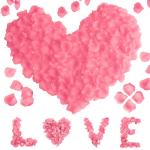 1200 stück Künstliche Rosenblätter, Romantische Rosenblätter Deko, Künstliche Rosenblüten Getrocknet für Hochzeit, Valentinstag, Jahrestag, Tischdekoration, Geburtstag, roma