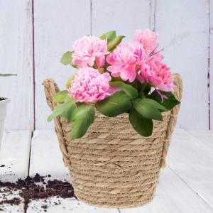 Korb Rattan Weiden Blumentopf Blumentopfbezug Gewebter Pflanzenbehälter Vase Mülleimer Mülltonne Wäschekorb Aufbewahrungskorb 20CM