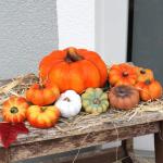 Zierkürbisse bunt als kleine Herbst-Deko im 9er Set - Keramik Deko-Kürbisse als wetterfeste Outdoor Gartendeko - Kürbis-Deko als Erntedankfest Zimmer-Deko oder draußen Haustür