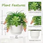 Kunstvetplanten in potten, 15,5 cm, meerkleurig, nepvetplanten met keramische pot, schattige plantendecoratie, , voor bureau, kantoor, woonkamerdecoratie