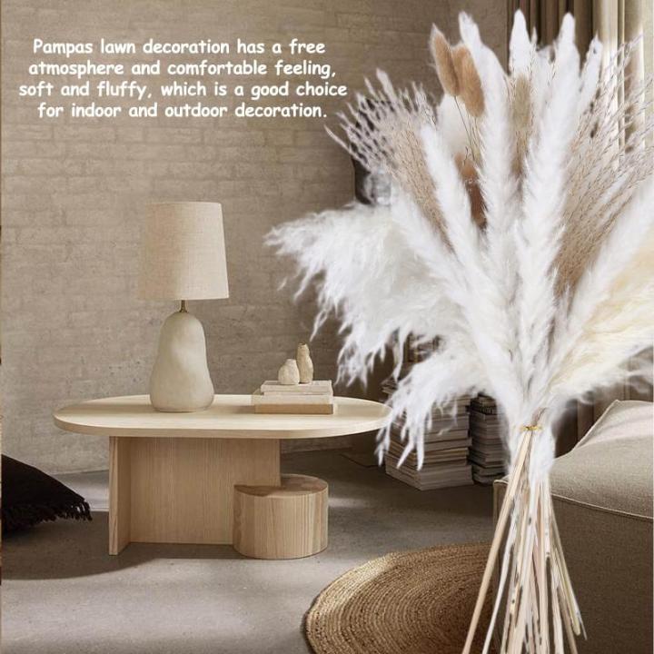 Pampas gedroogde bloemendecoratie, natuurlijk, 67 stuks, doe-het-zelf, gedroogde bloemen, boeket, ideaal voor boho, woonkamer, bruiloft, slaapkamer en vazen (LZGSGO-0102)