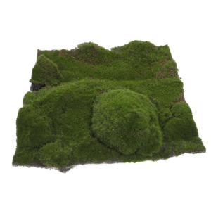 Simulation Moos Rasen Gefälschte Grasmatte Moosteppich Moos Für Terrarien Kunstrasen, Moosrasen Gartendeko Für Draußen Grasauflage Rasengras Im Freien Perlenbaumwolle Green